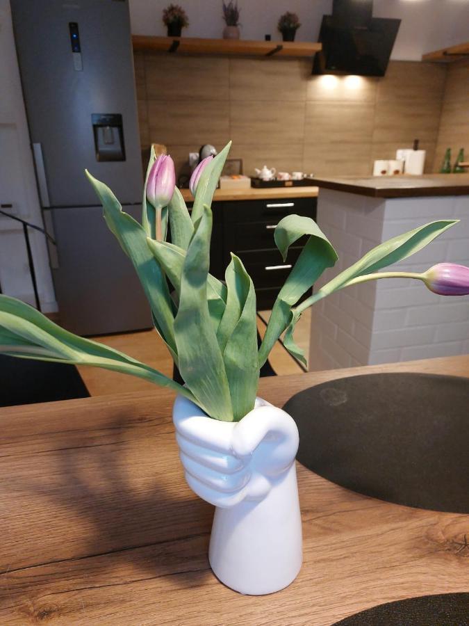 Apartament Mar&Mel Glucholazy Bagian luar foto